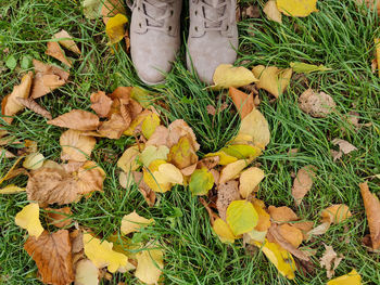 Low section of person standing on field