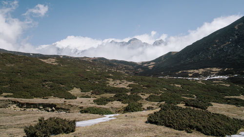 Scenic view of landscape against sky