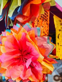 Close-up of multi colored flower bouquet