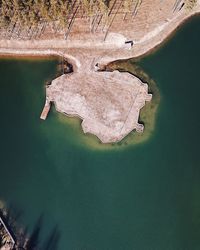 High angle view of tree reflection in lake