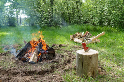 View of fire in the forest