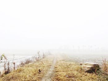 Scenic view of landscape during foggy weather