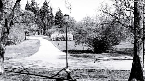 Snow covered footpath by trees in park