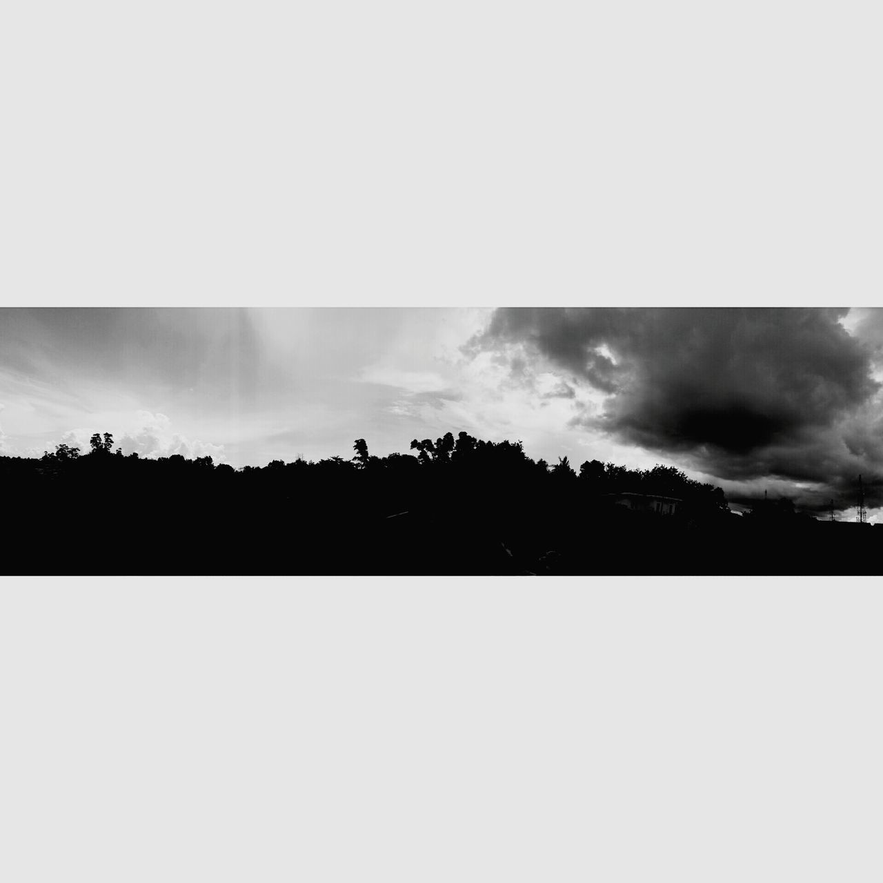 SILHOUETTE OF TREES AGAINST CLOUDY SKY