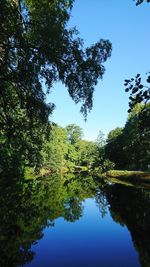 Reflection of trees in lake against clear sky