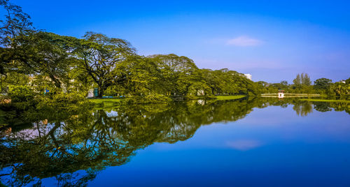 Reflection of trees in lake against blue sky