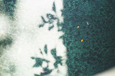 High angle view of snowflakes on grass