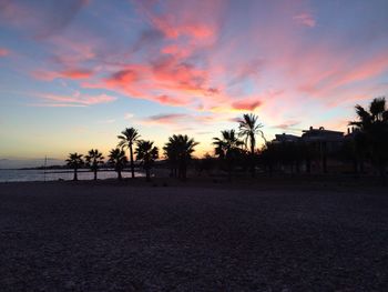 Palm trees on beach at sunset