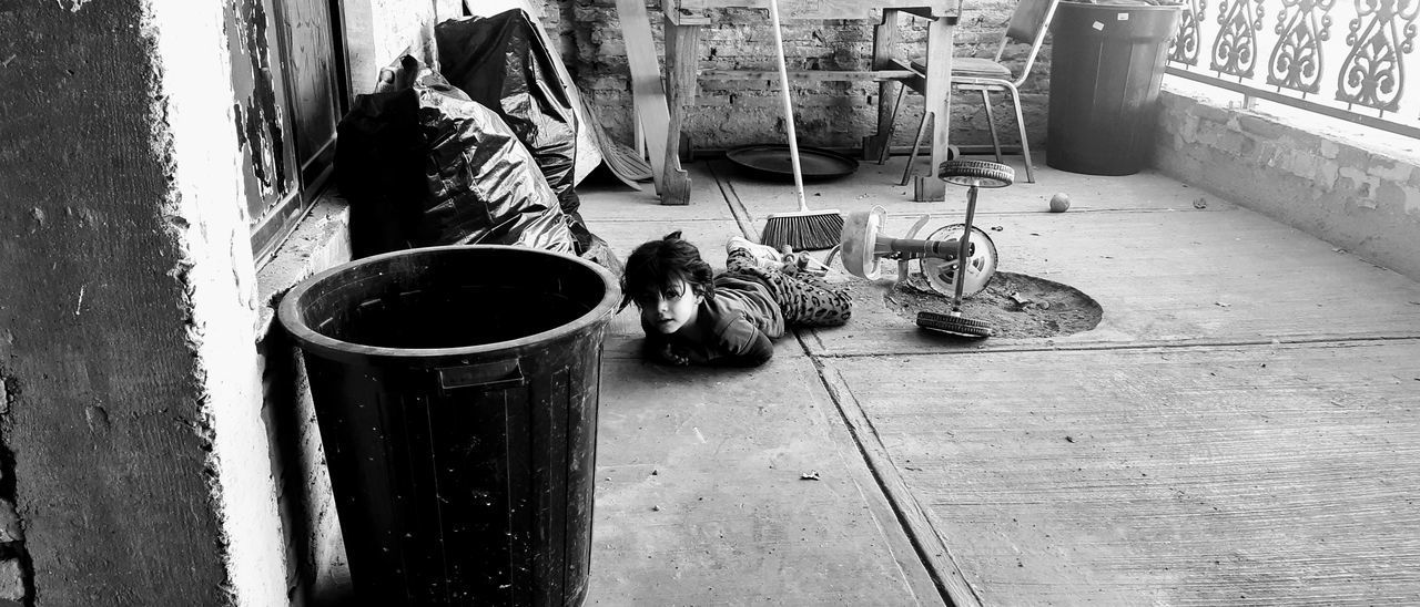 VIEW OF A CAT WITH DOG