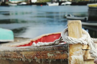 Close-up of plant against blurred background