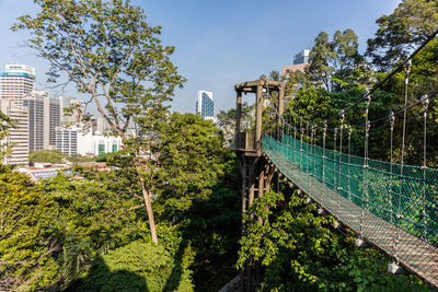 Plants and trees by bridge against sky in city