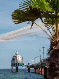 Low angle view of palm trees against sky