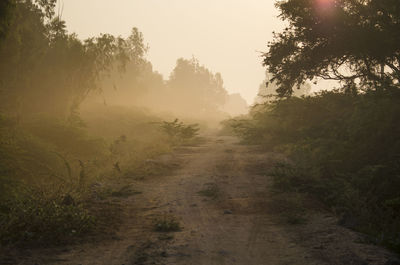 Dirt road amidst trees against sky
