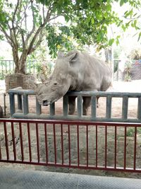 View of an animal against sky