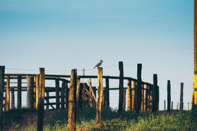 Wooden fence on field against clear sky