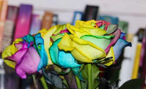 Close-up of multi colored flowers on table