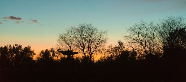 Silhouette trees against sky during sunset