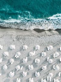High angle view of parasols at beach