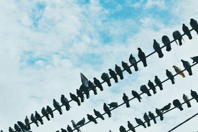 Low angle view of barbed wire against sky