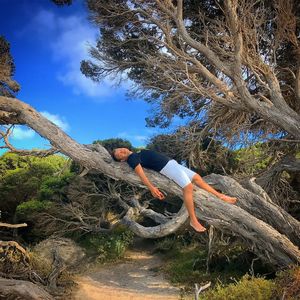 Man climbing tree trunk in forest against sky