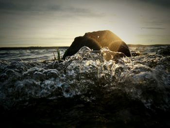 Scenic view of sea at sunset