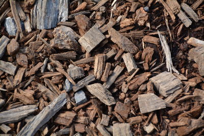 High angle view of wood on field