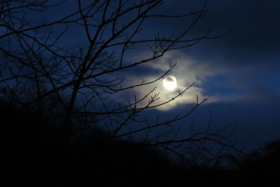 Low angle view of silhouette tree against sky at night