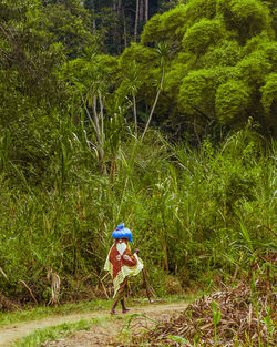 Rear view of woman walking in forest