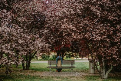 Man sitting on bench in park