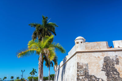Low angle view of colonial defensive wall by palm tree against clear blue sky during sunny day