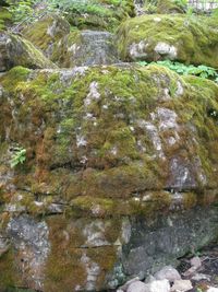 River flowing through rocks