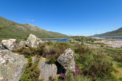 Scenic view of landscape against clear blue sky