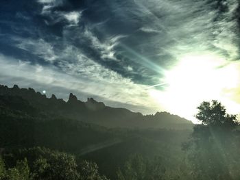 Sunlight streaming through trees on landscape against sky