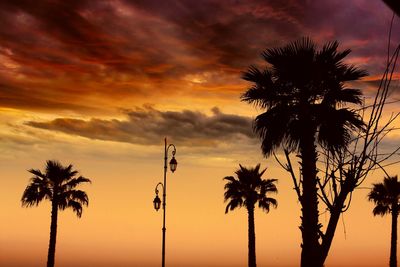 Silhouette palm trees against sky during sunset