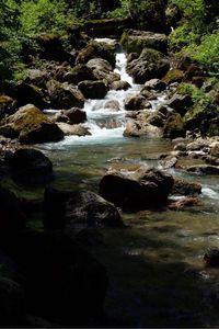 Stream flowing through rocks in forest