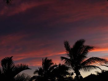 Low angle view of silhouette palm trees against romantic sky