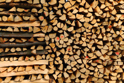 Full frame shot of wooden logs in forest