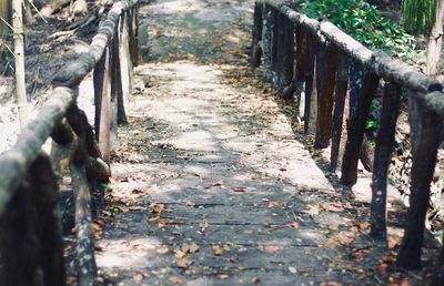 Footpath amidst trees in forest