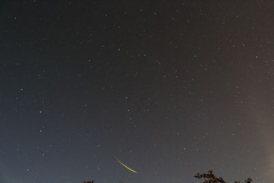 Low angle view of star field against sky at night