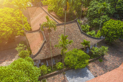 High angle view of plants and trees by house in forest