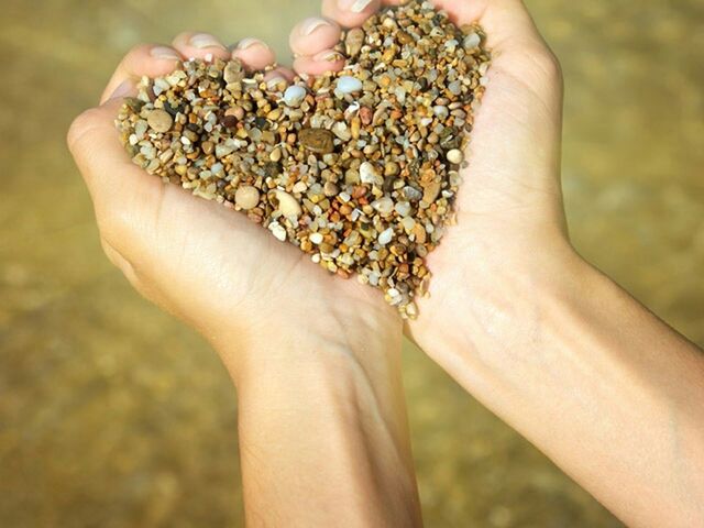 CROPPED IMAGE OF HAND HOLDING WHITE