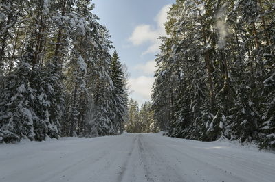 Road amidst trees against sky during winter