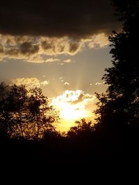 Silhouette trees against sky during sunset