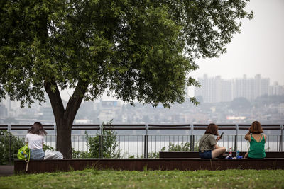 Rear view of woman sitting on bench