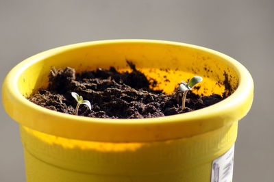 High angle view of coffee cup