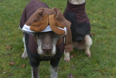 Full length of man standing on field