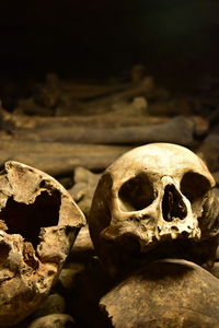 Close-up of human skull