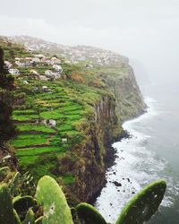 Scenic view of sea and trees against sky