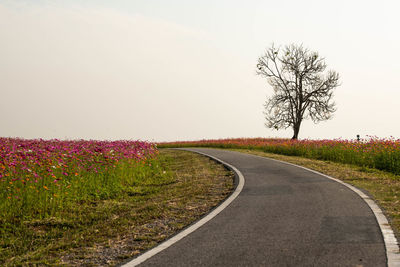 Road amidst field against clear sky