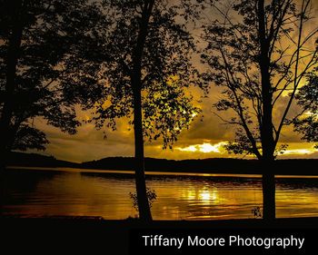 Silhouette trees by lake against sky during sunset